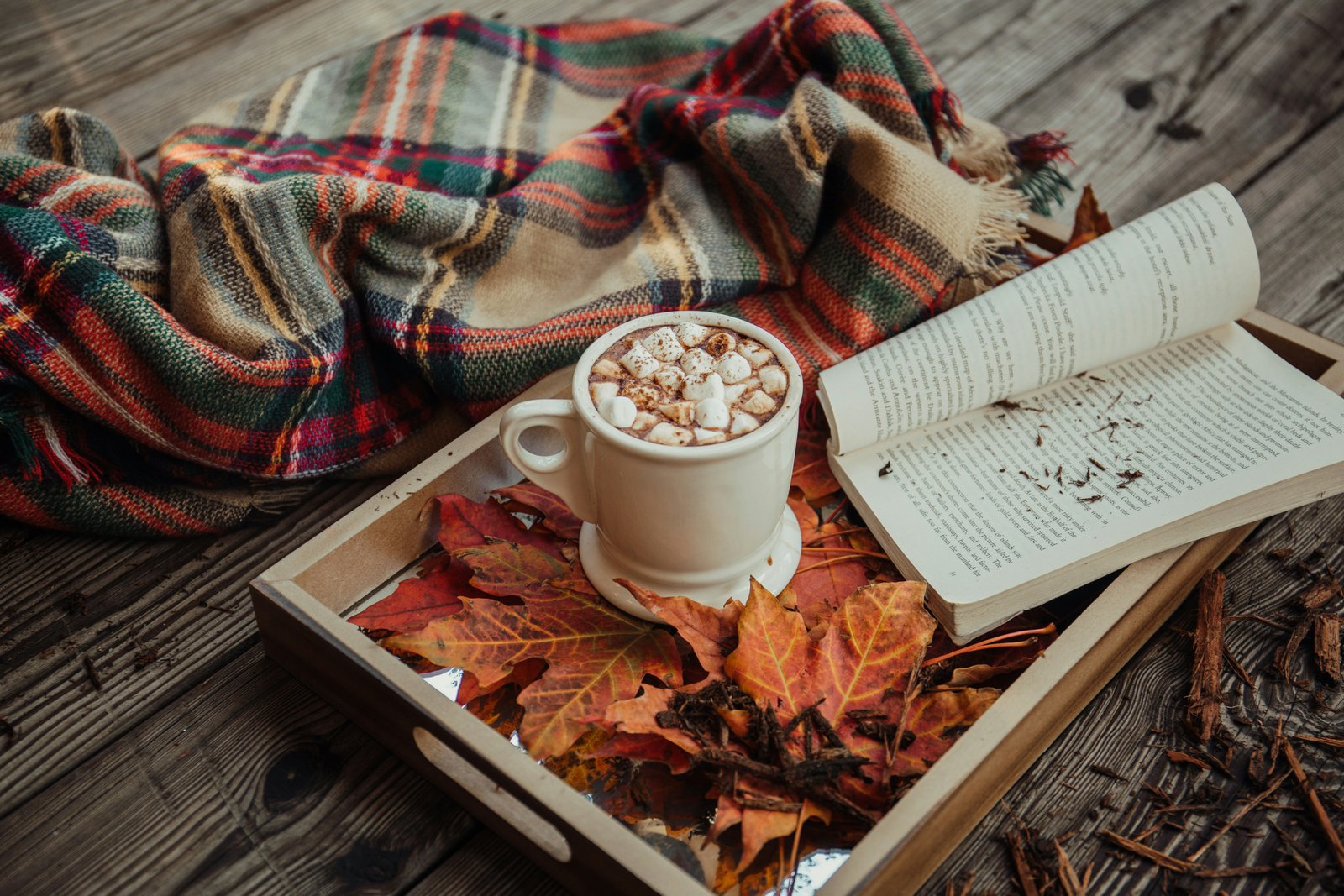 Download Alisa Anton JhxGkGgd3Sw Unsplash wallpaper Alisa Anton JhxGkGgd3Sw Unsplash wallpaper