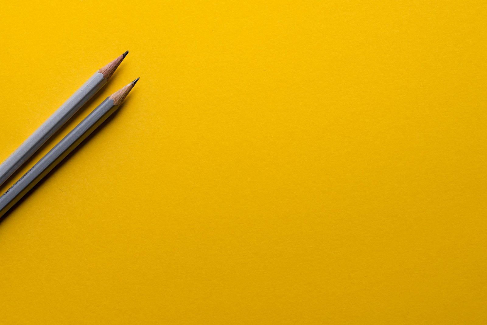 Download Joanna Kosinska 1 CMoFsPfso Unsplash wallpaper Joanna Kosinska 1 CMoFsPfso Unsplash wallpaper