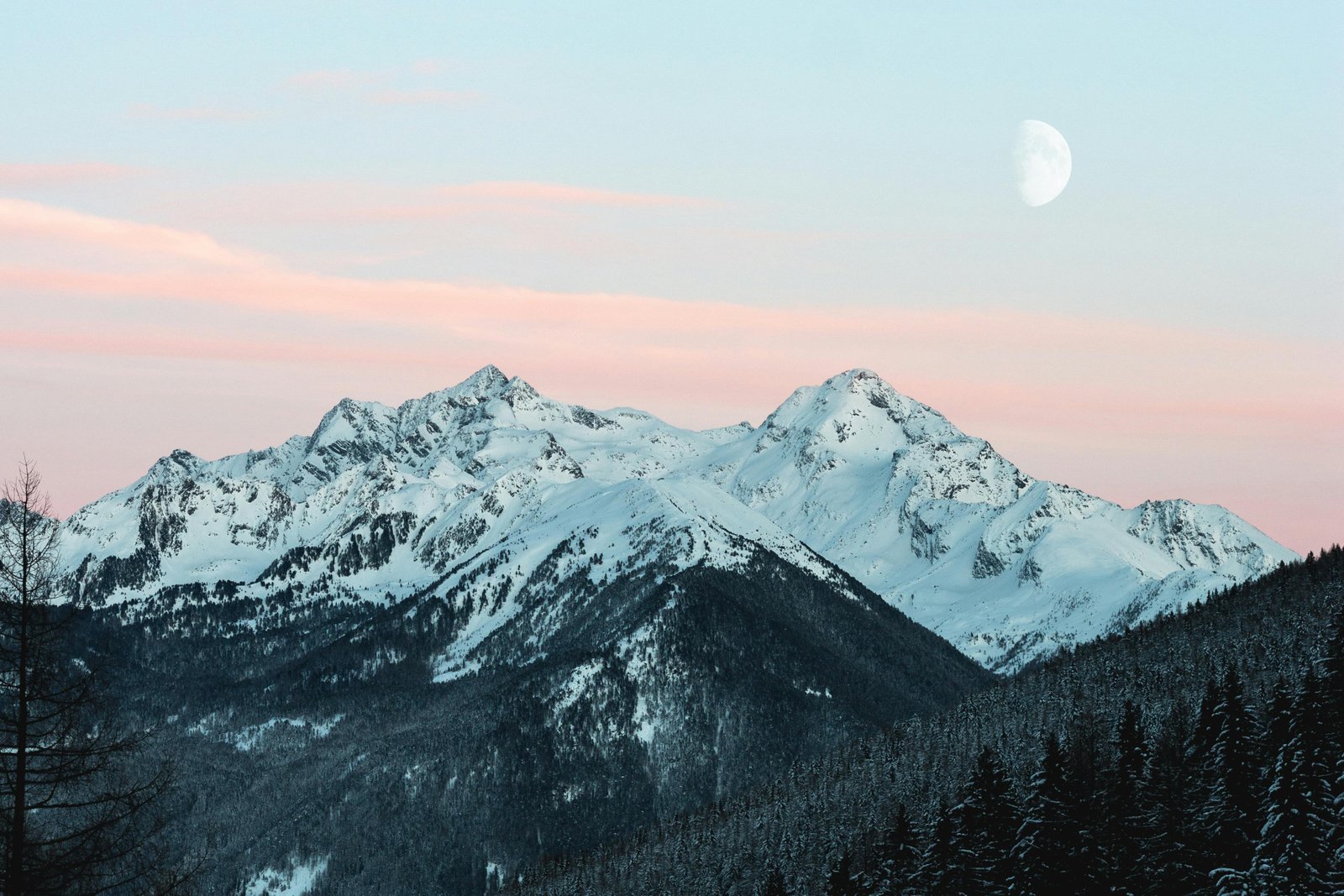 Download Pexels Eberhardgross 1287145 wallpaper Pexels Eberhardgross 1287145 wallpaper
