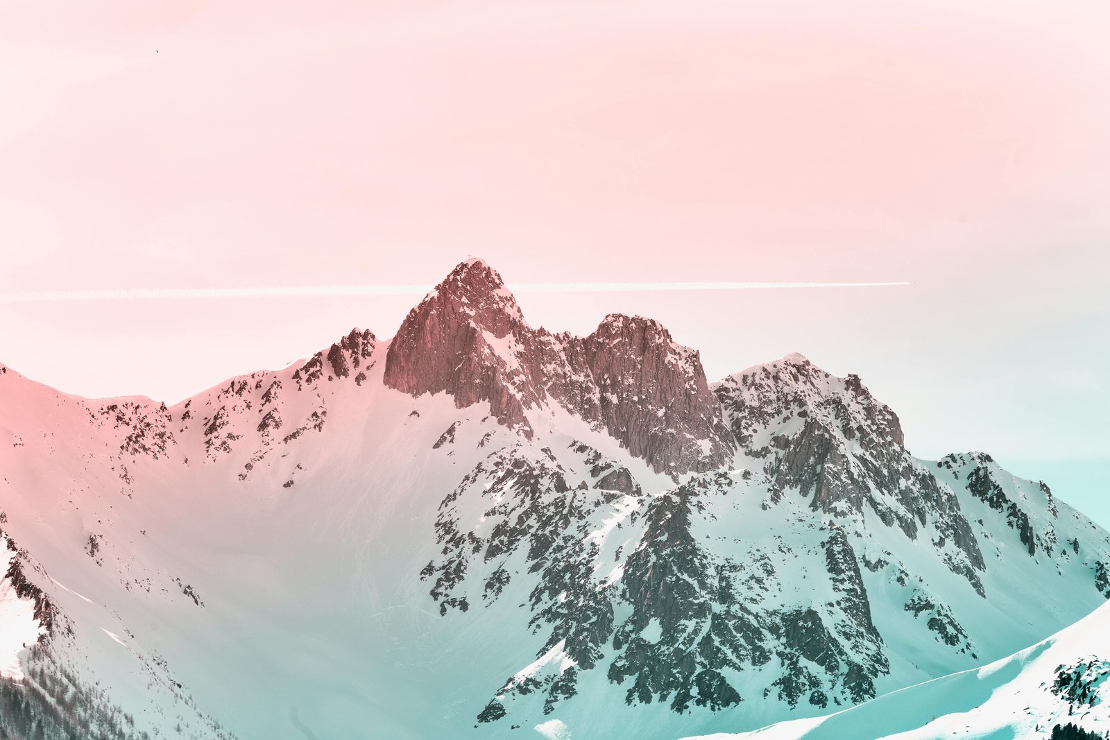 Pexels Eberhardgross 2088238 wallpaper